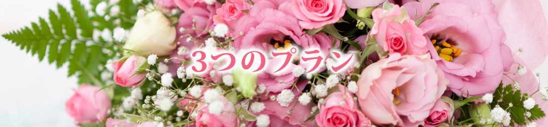3つのプラン